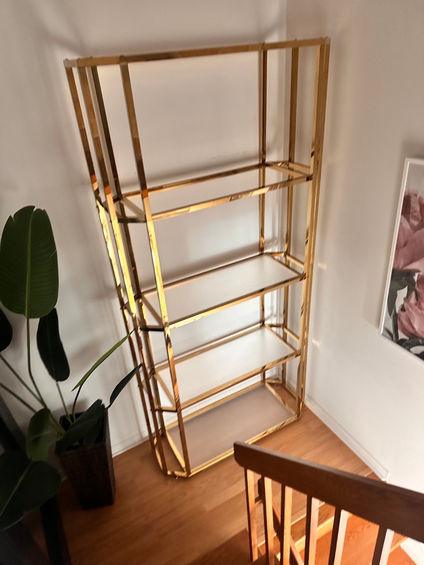 The Mammoth - Extra Large Golden Brass Bookshelf NEW