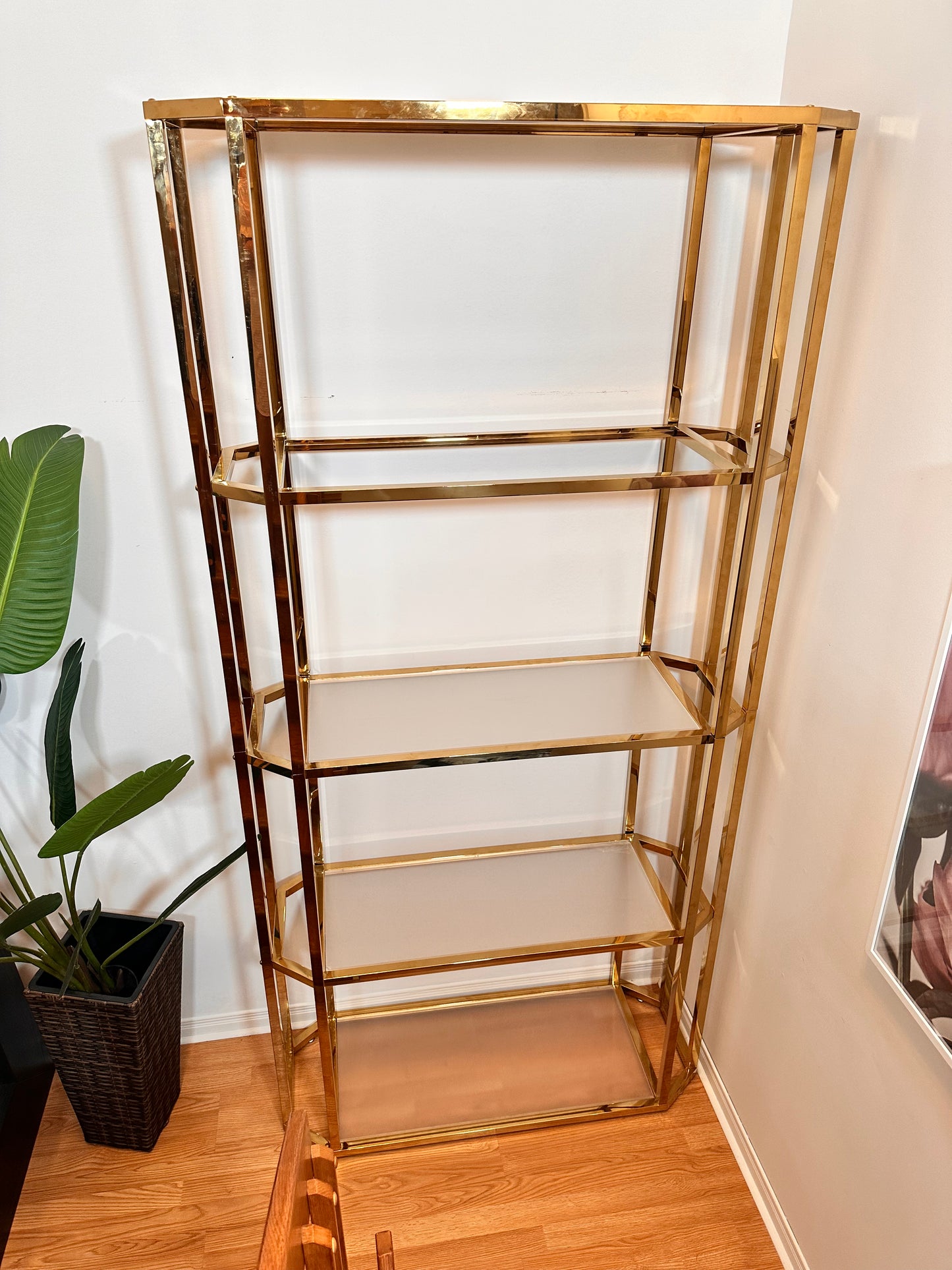 The Mammoth - Extra Large Golden Brass Bookshelf NEW