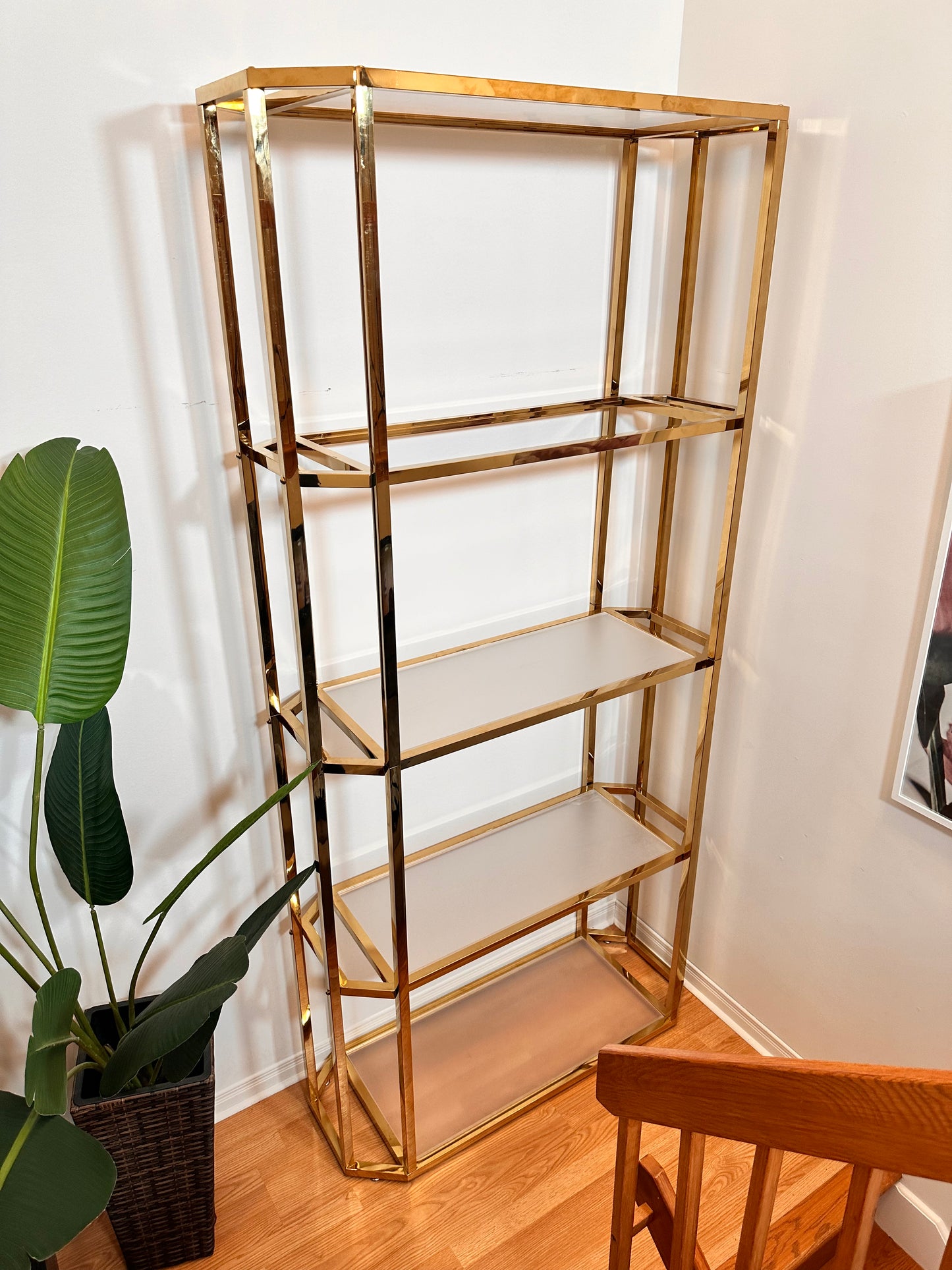 The Mammoth - Extra Large Golden Brass Bookshelf NEW