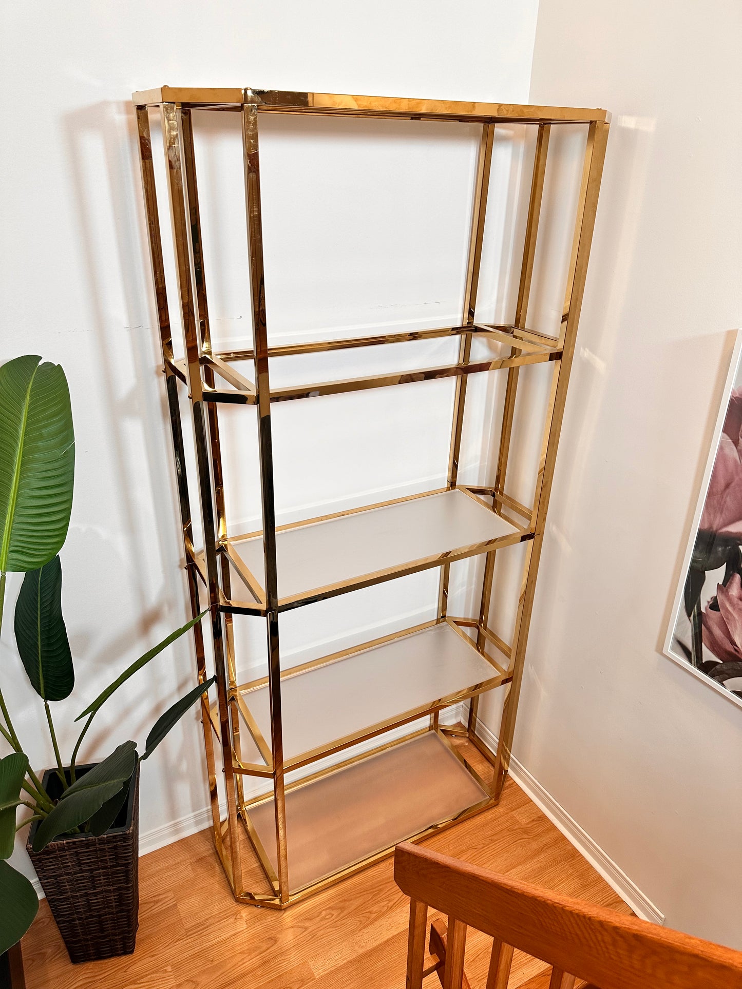 The Mammoth - Extra Large Golden Brass Bookshelf NEW